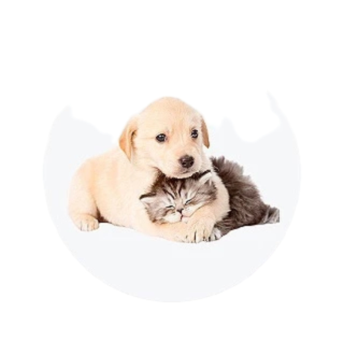 Pet Supplies