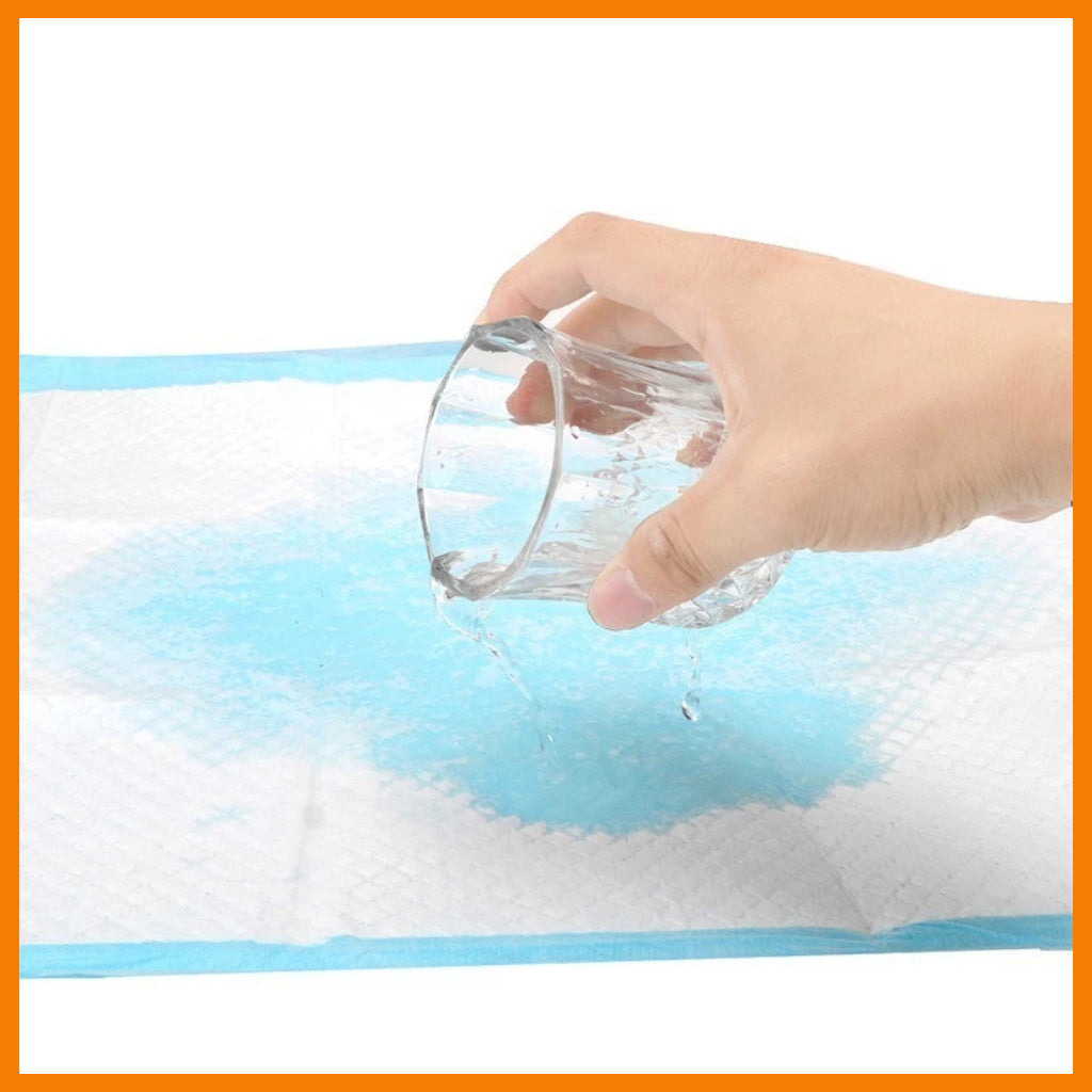 Absorbent Pet Training Pee Pads for Dogs & Cats (8 Packs/Order)